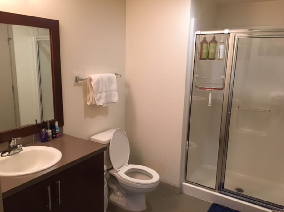 Private ensuite bathroom - stocked with natural bodywash, shampoo, and conditioner. We supply hand soap, towels, TP, lint roller, and wrinkle remover. Everything looks brand new!