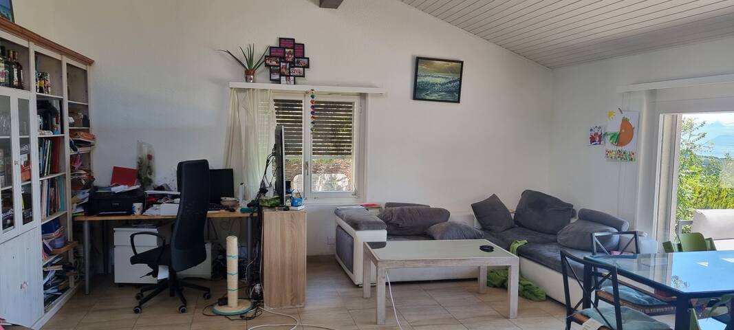 Villa 5 chambres, magnifique vue sur le lac leman gallery image 3