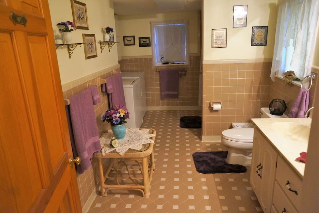 The bathroom. There is a full bathtub with shower.