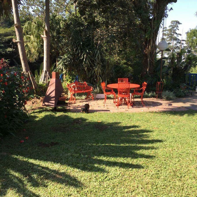 Garden & pool area