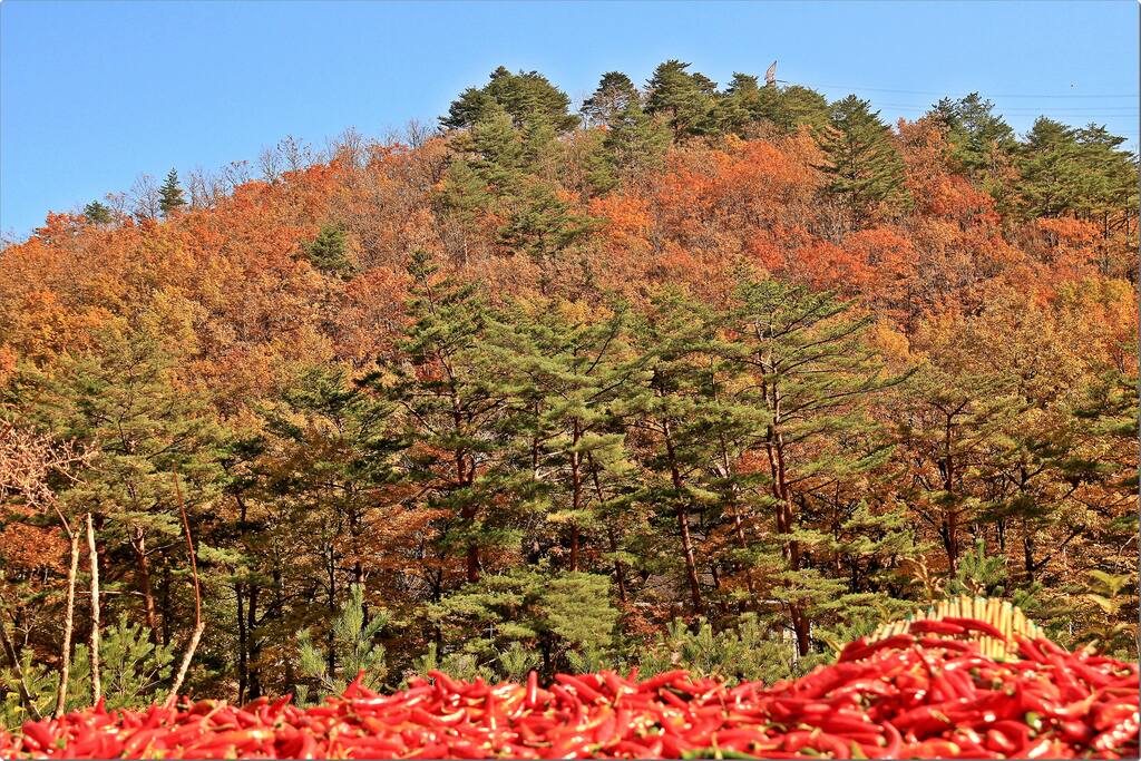 계곡과 앞산