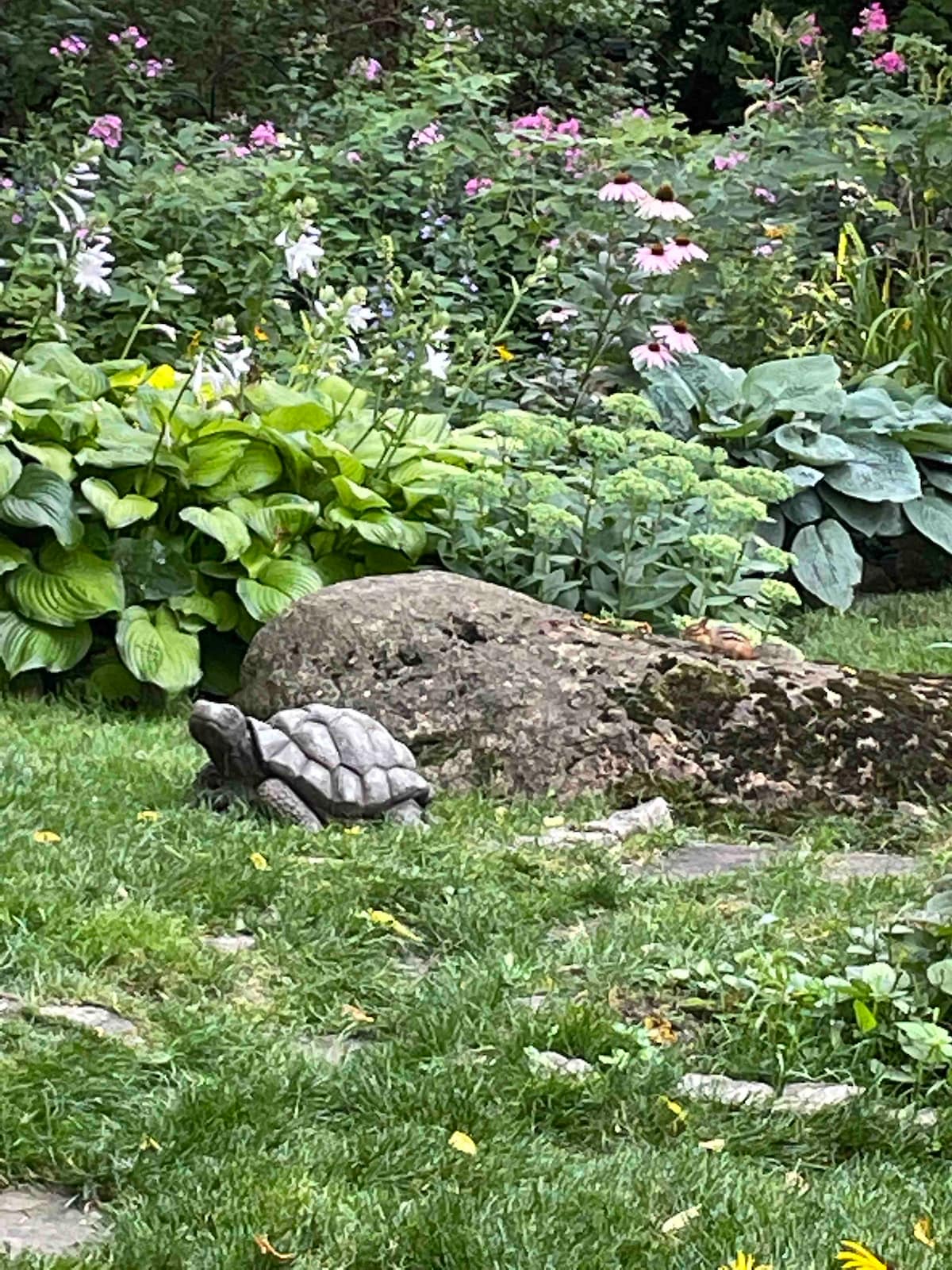 A decorative stone turtle is positioned among lush greenery and colorful flower gardens. A large smooth rock serves as a natural element in the landscape, surrounded by various plants, including hostas and blooms. The setting offers a serene and inviting outdoor atmosphere.