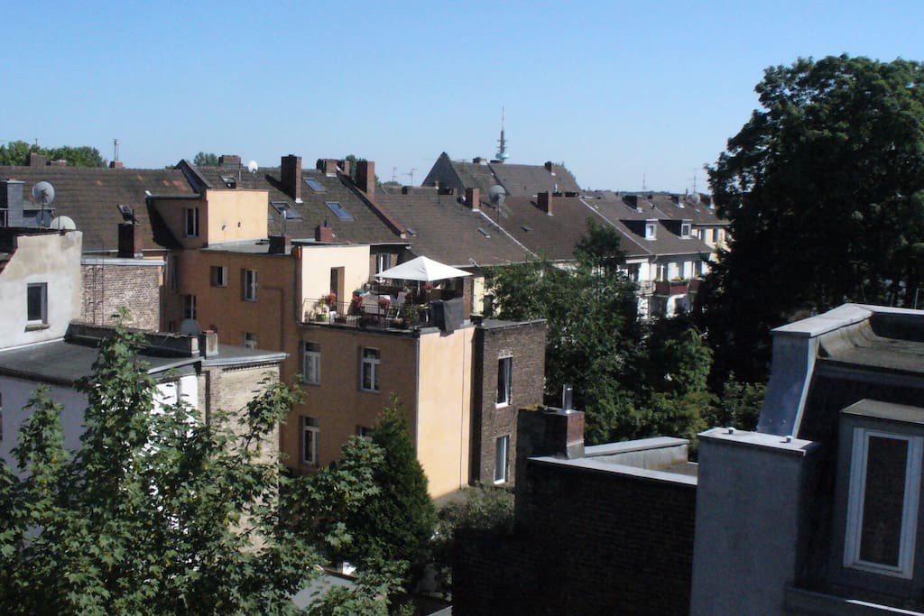 view from the terrace (east to south)