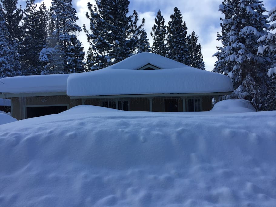 3/3/18... dug our guest out and sent him to Kirkwood 6’