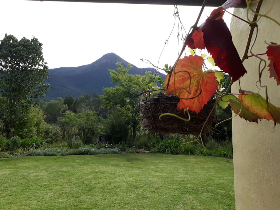 Storms River peak and autumn leaves - view from the verandah.