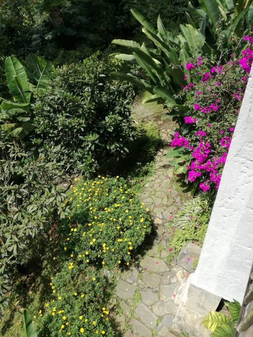 Jardin