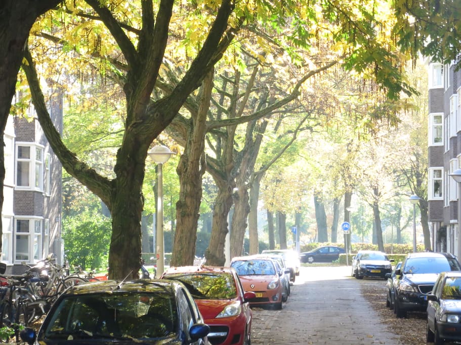 Streetview