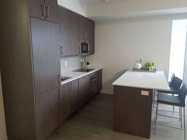 luxurious 3 BR. Apt – Downtown Toronto. gallery image 3