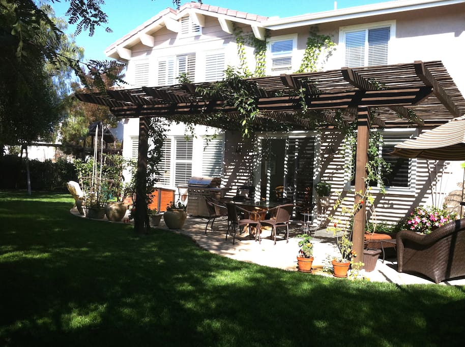 Back yard