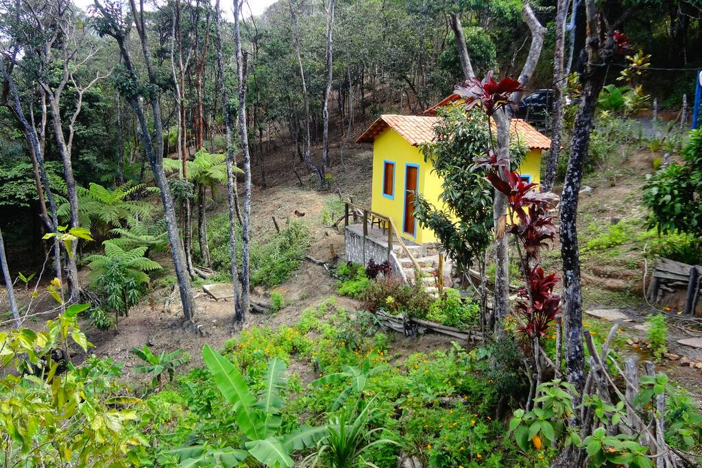 pomar com frutíferas diversas, chás e temperos colhidos na hora