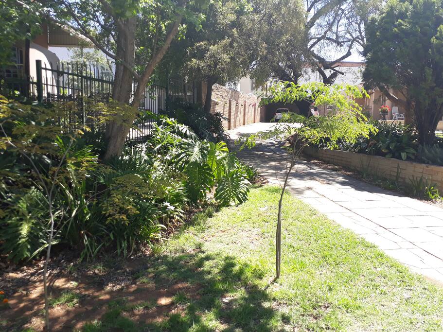 Garden path leading to the guestrooms