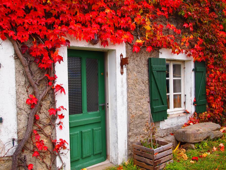 L'Automne à Peubrieres