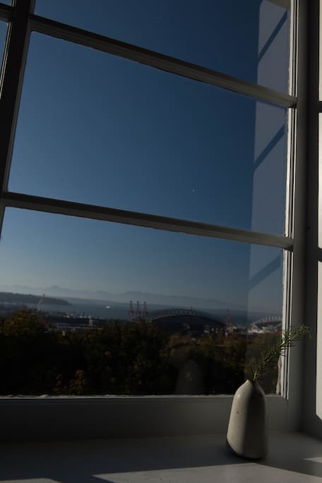 View from living room window
