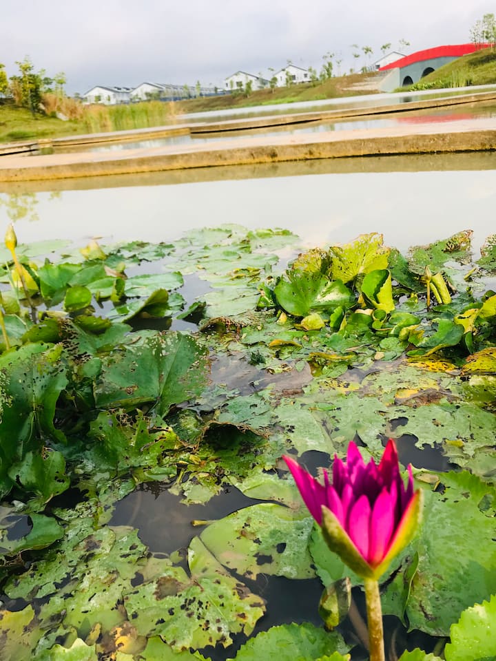 Bandar Saujana Utama Vacation Rentals Homes Bandar Saujana Utama Sungai Buloh Malaysia Airbnb