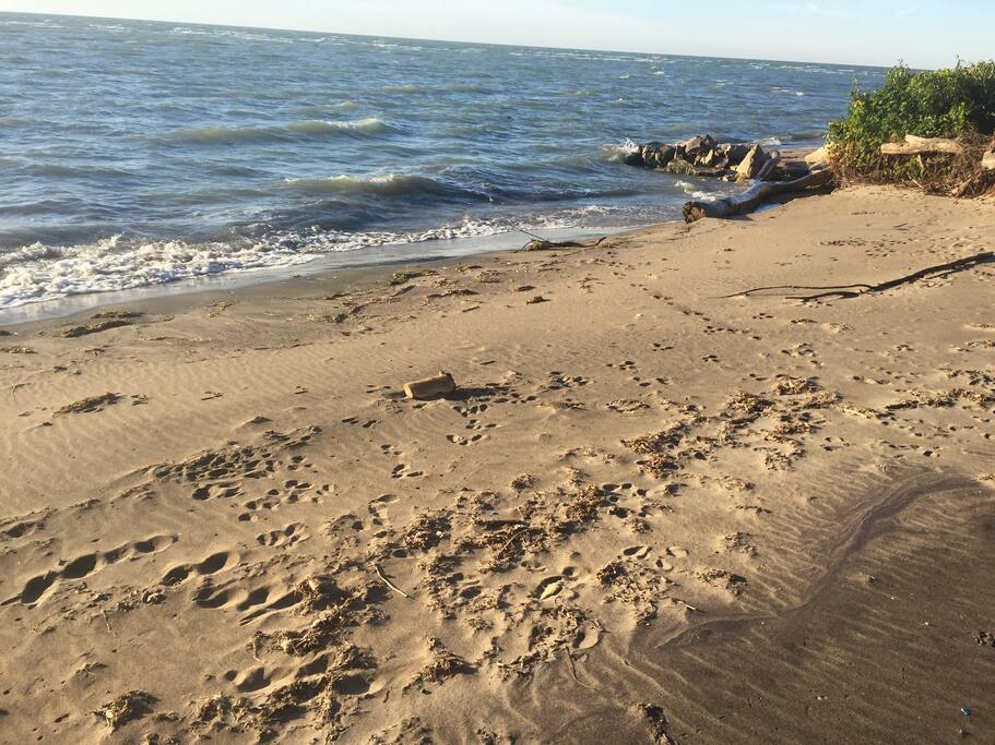Beach and Lake