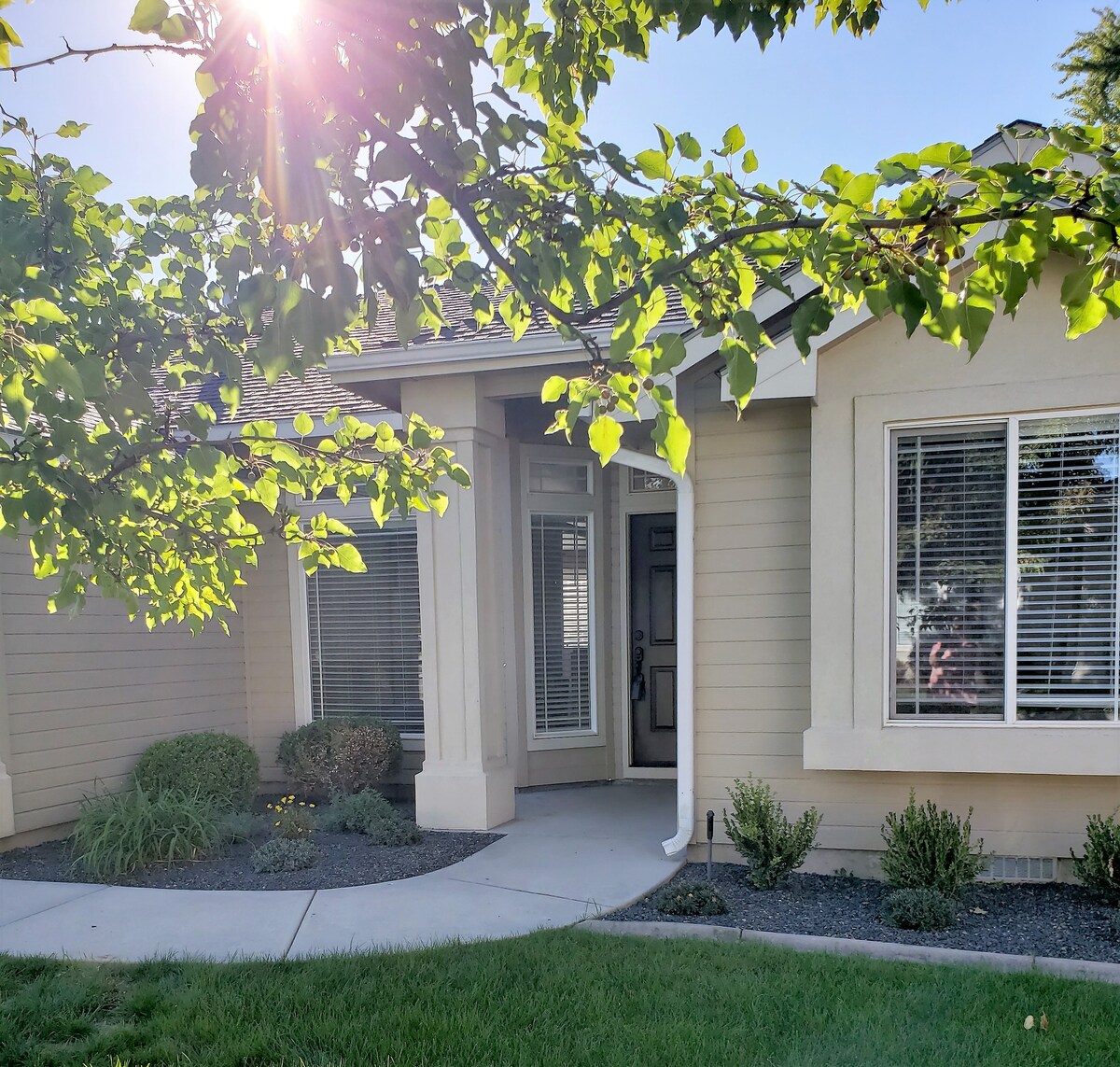 The entrance of a modern home is framed by lush greenery. The front porch, featuring a welcoming entryway, is highlighted by sunlight filtering through the leaves. Large windows provide an inviting view into the well-lit interior, surrounded by carefully landscaped shrubs.
