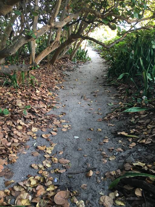 Sand trail to the beach. Its an easy walk even with beach chairs