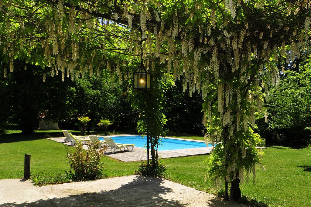 Pergola. Entrée de la maison