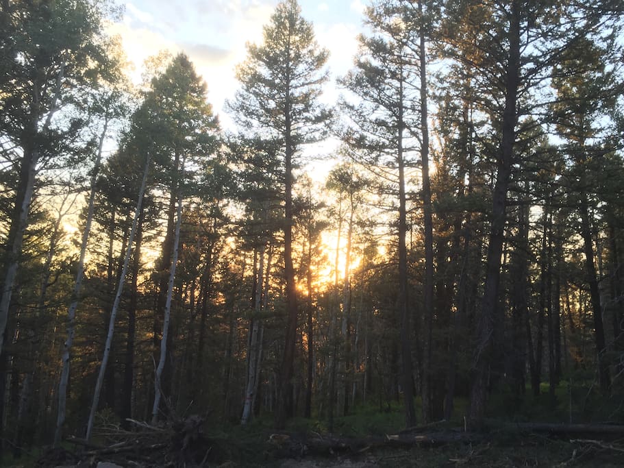 Beautiful sunsets and great star gazing area on the back lot.
