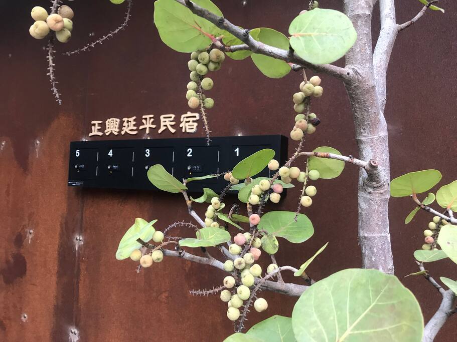 入口採密碼鎖自助入住的方式,隱密性高、及我們對旅客的信任