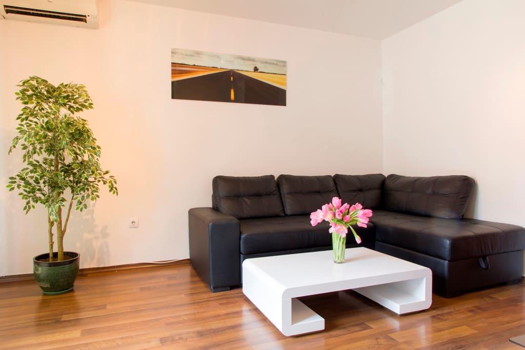 Living Room with Sofa