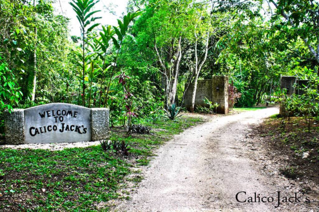 The road to our 365-acre private reserve