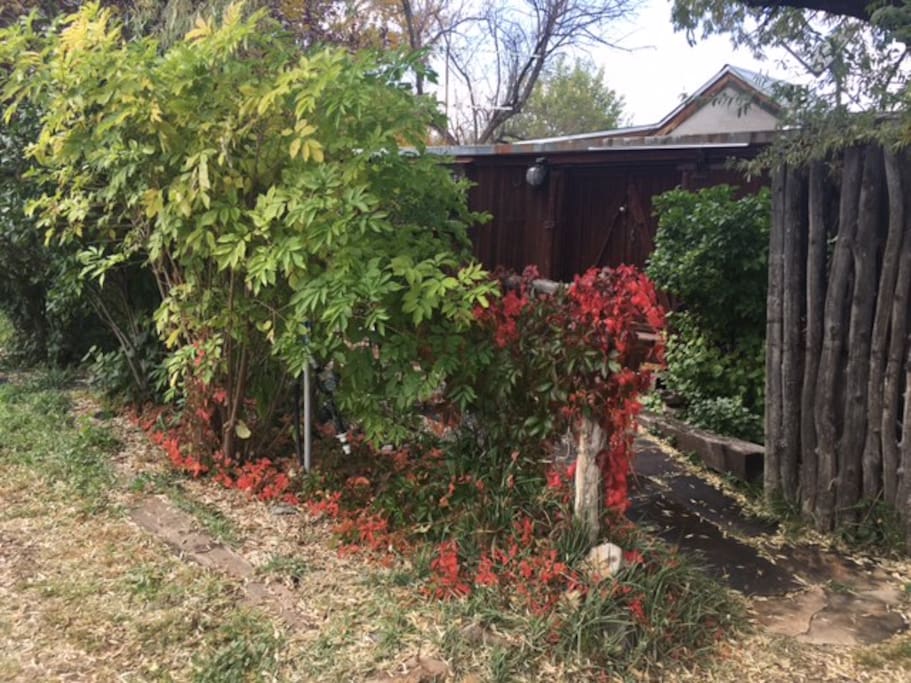 Fall arrival.