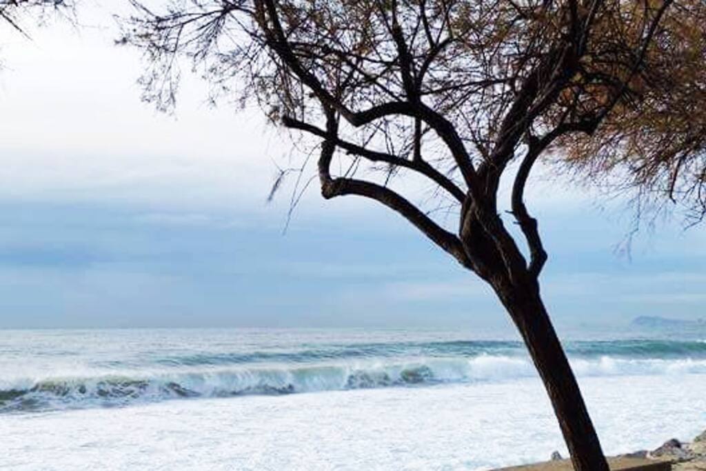 Beach so close (150 mts)
