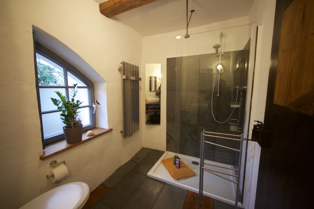 Badezimmer mit Dusche und WC