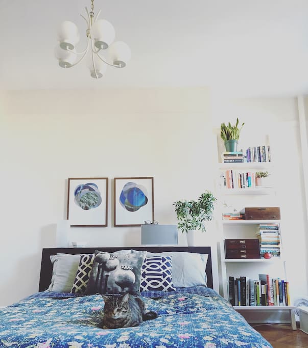 Master bedroom + Harper the cat