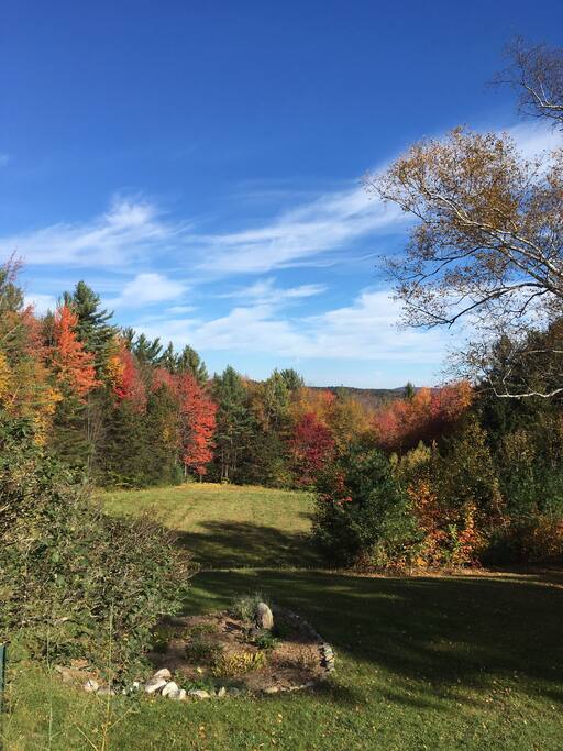 View of the meadows and woods from the back of the house.
