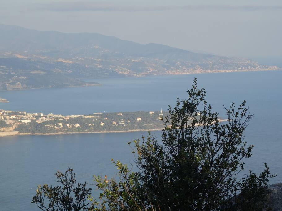 CAP MARTIN