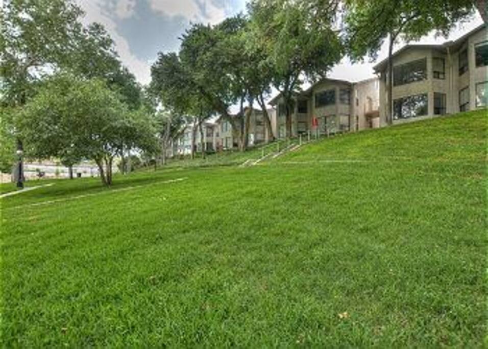 Comal River 303-Common Grounds