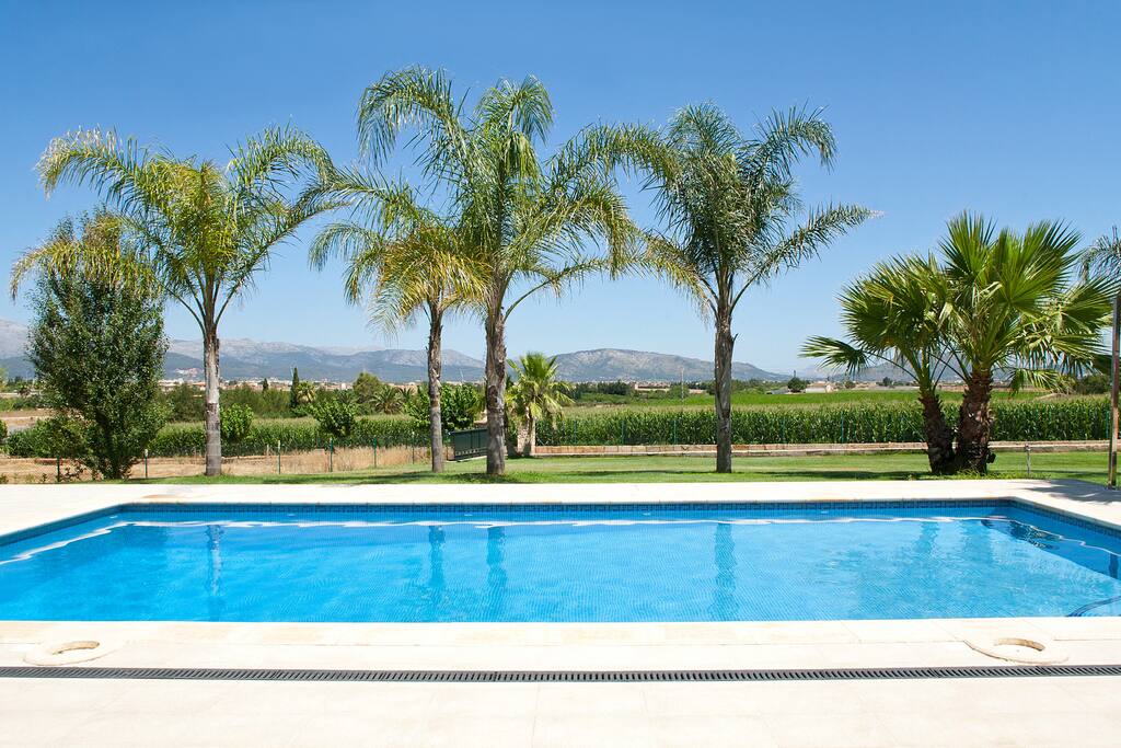 Algunas palmeras de la finca .Vista a las montañas