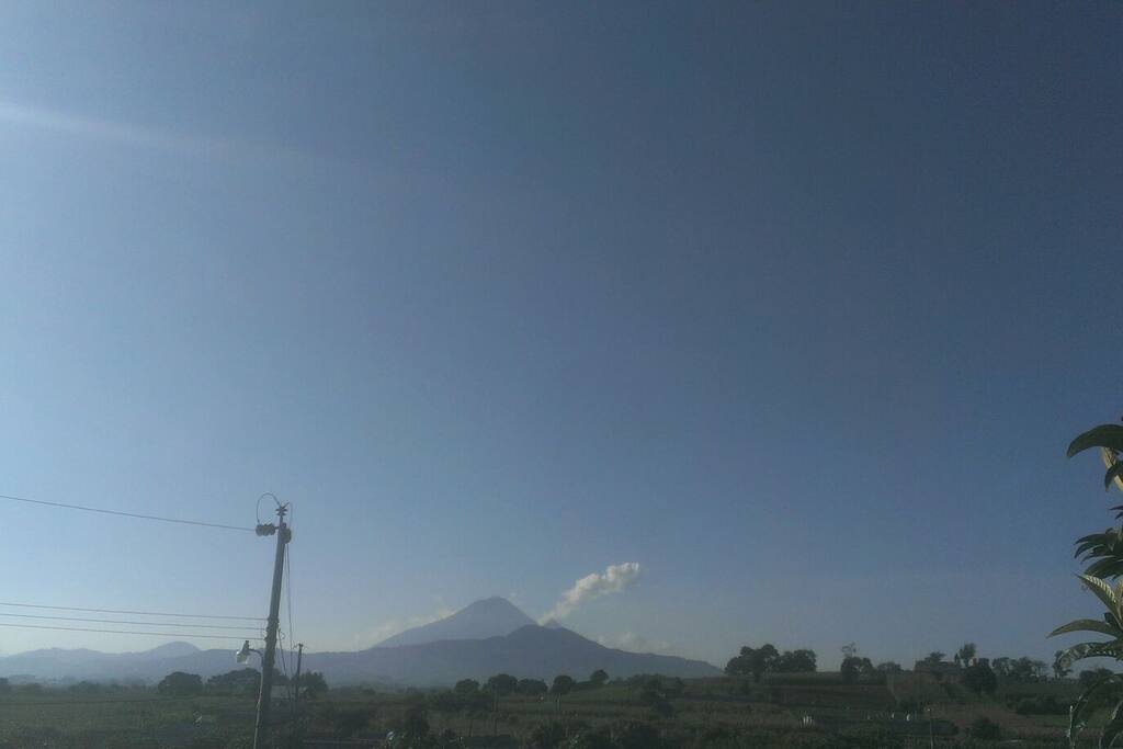 View from the roof