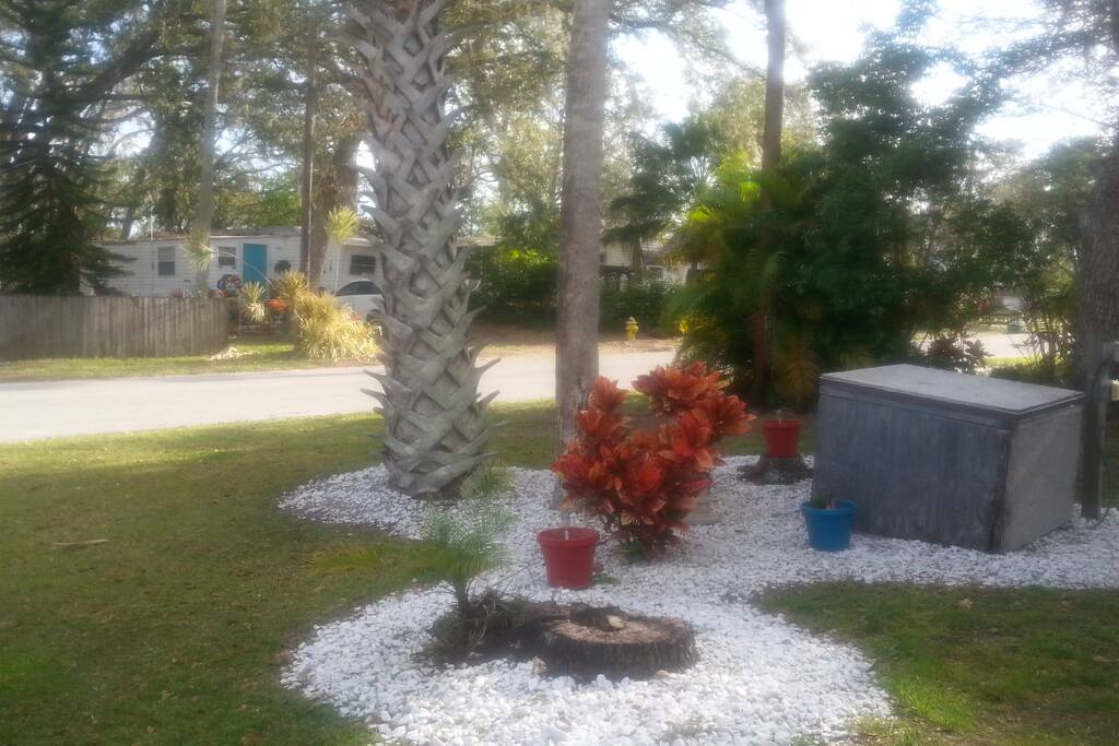 Front yard