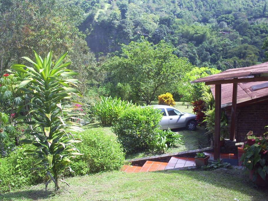 Jardines