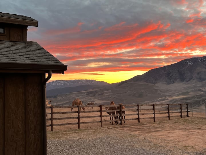 Lebec Ranch The Llama (A Lone Juniper Ranch Cabin) - Farm stays for Rent in Lebec ...