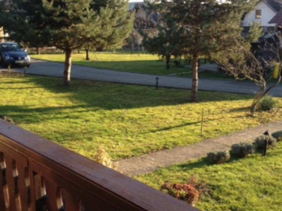 garden and parking