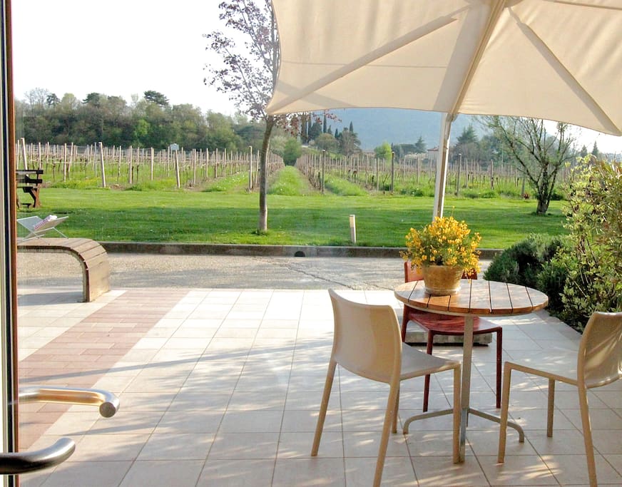 Your Terrace