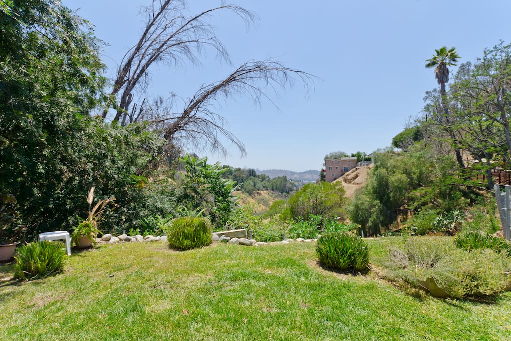 Canyon View