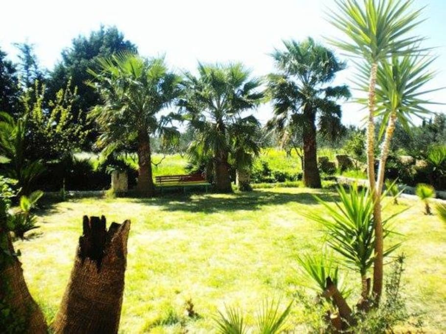 Esterno giardino