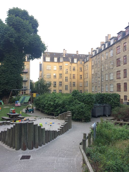 Back yard