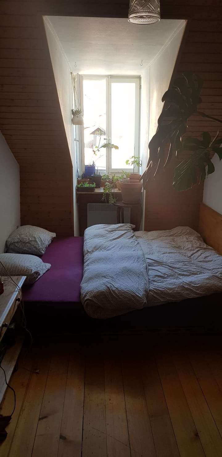 Habitación 1