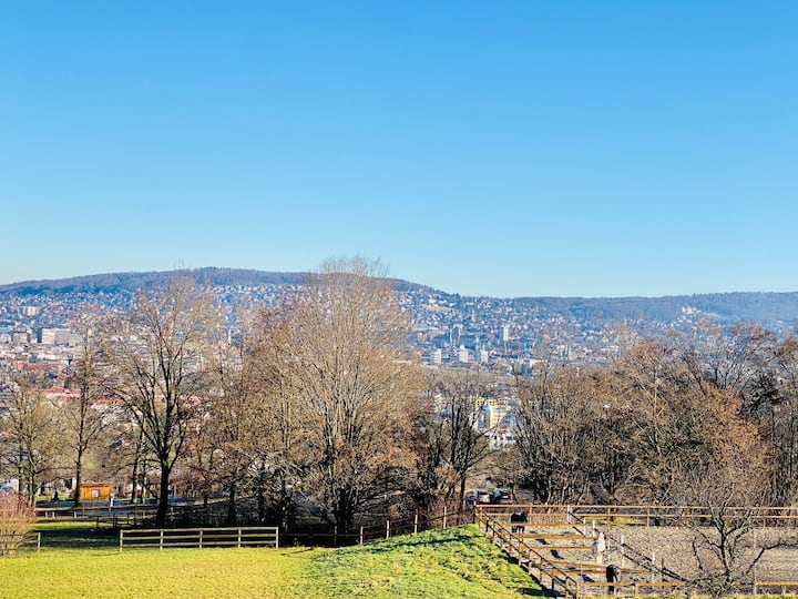 10 Best ShortTerm Rentals In Zürich, Switzerland Updated 2024 Trip101