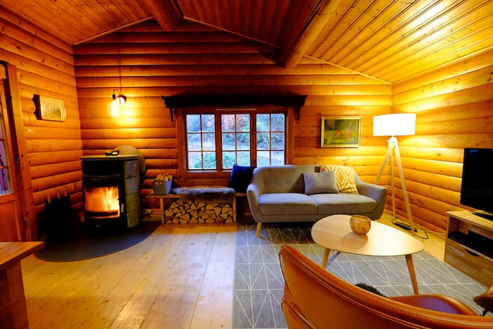 Woody Willingen-Die Holzhütte in herrlicher Natur