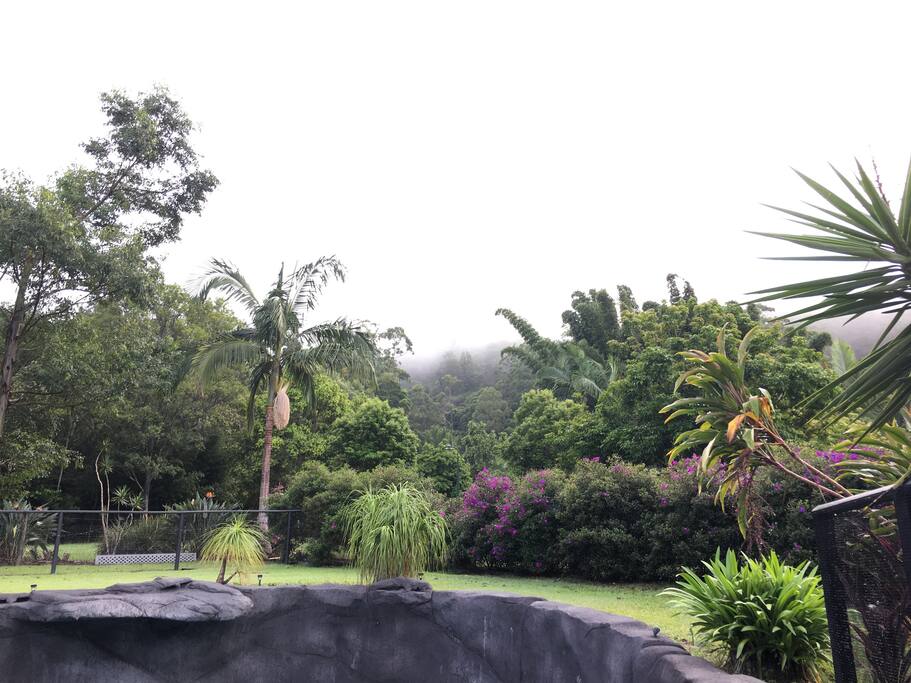 Lush surrounds