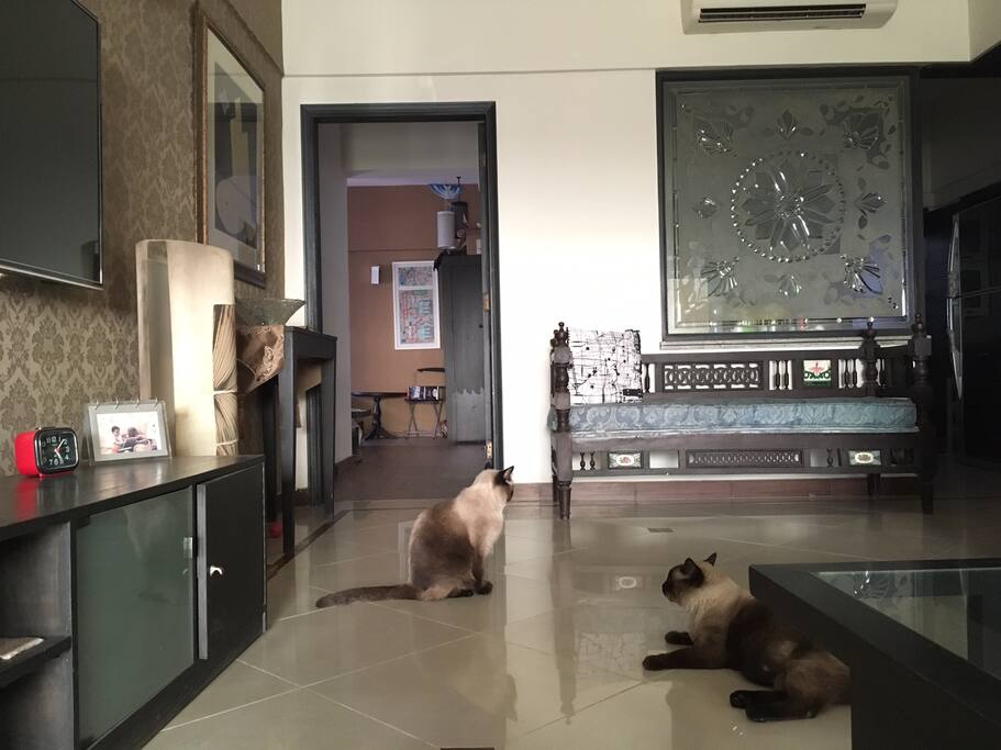Owners of the space