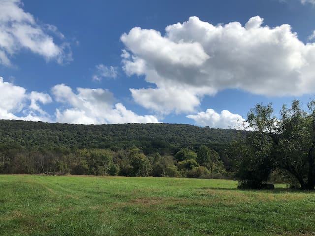 Spring House Farm Apartment in Wine Country