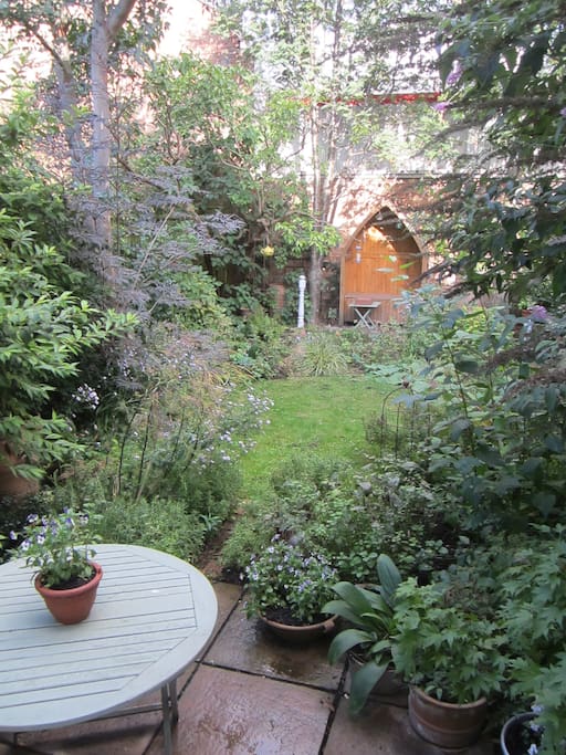 Garden in autumn